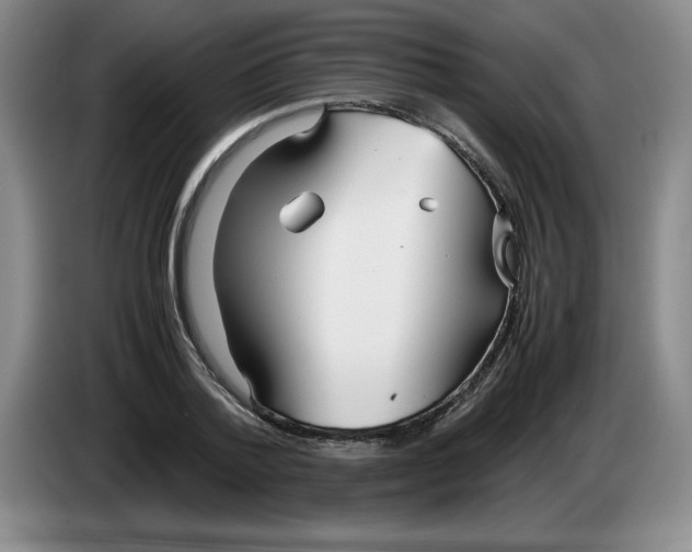 X0000083600788200703091740