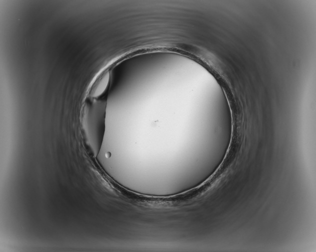 X0000083600789200703091740