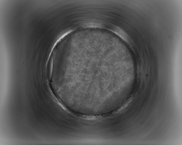 X0000083600790200703091740