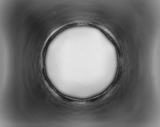 X0000083600791200703091740