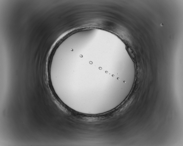 X0000083600792200703091740