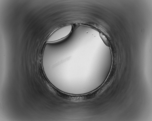 X0000083600793200703091740