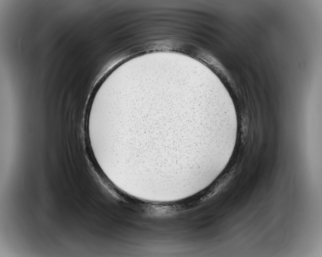 X0000083600794200703091740