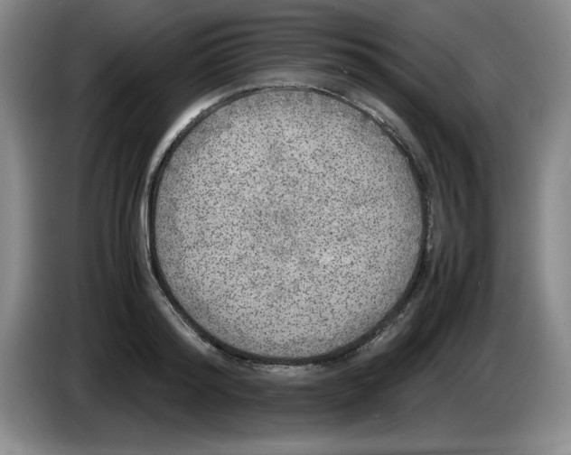 X0000083600796200703091740