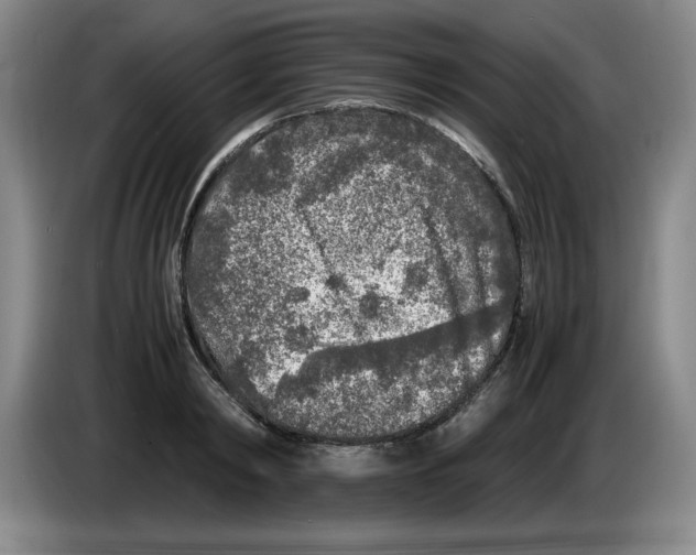 X0000083600798200703091740