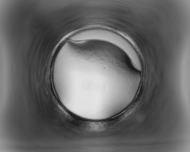 X0000083600799200703091740