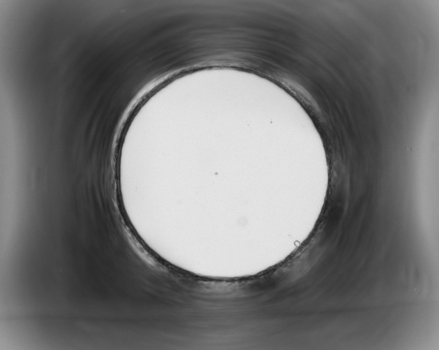 X0000083600800200703091740