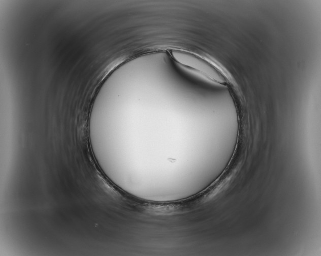 X0000083600801200703091740