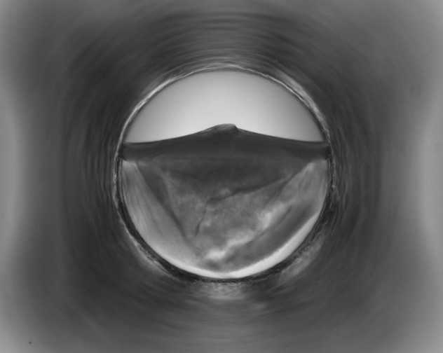 X0000083600802200703091740