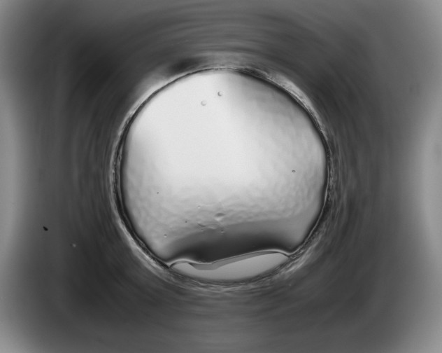 X0000083600803200703091740