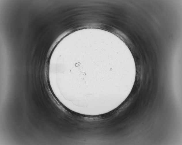 X0000083600804200703091740