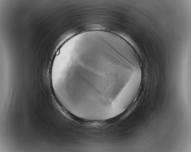 X0000083600806200703091740