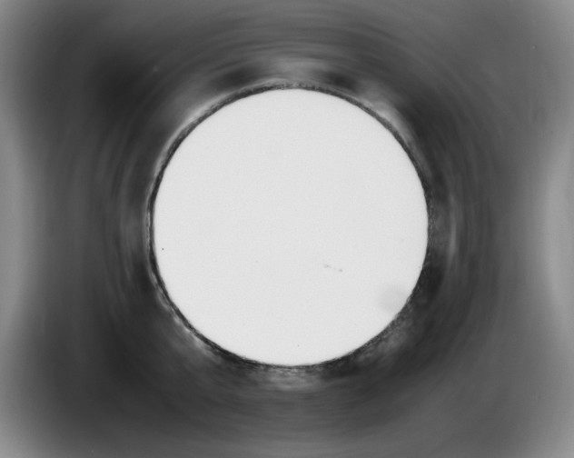 X0000083600807200703091740