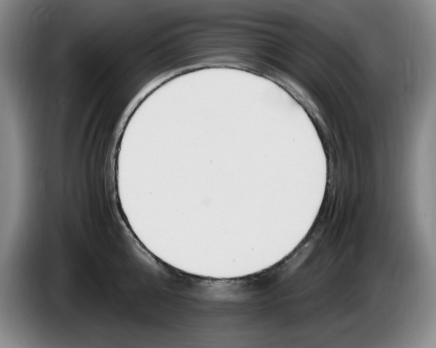 X0000083600808200703091740