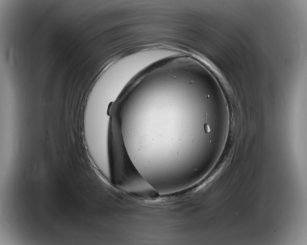 X0000083600809200703091740