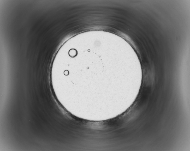 X0000083600810200703091740