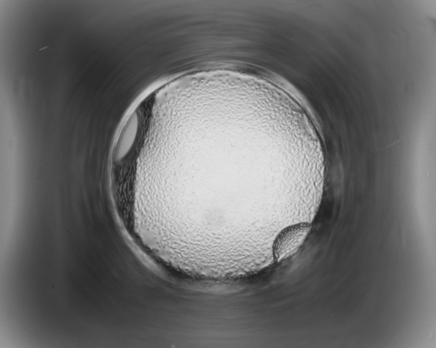 X0000083600811200703091740