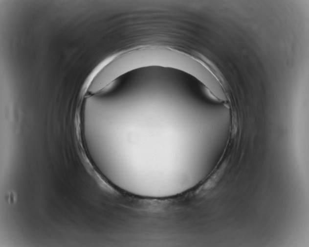 X0000083600812200703091740