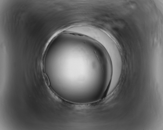 X0000083600813200703091740