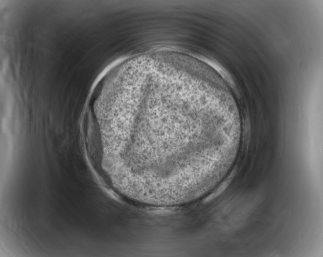 X0000083600814200703091740