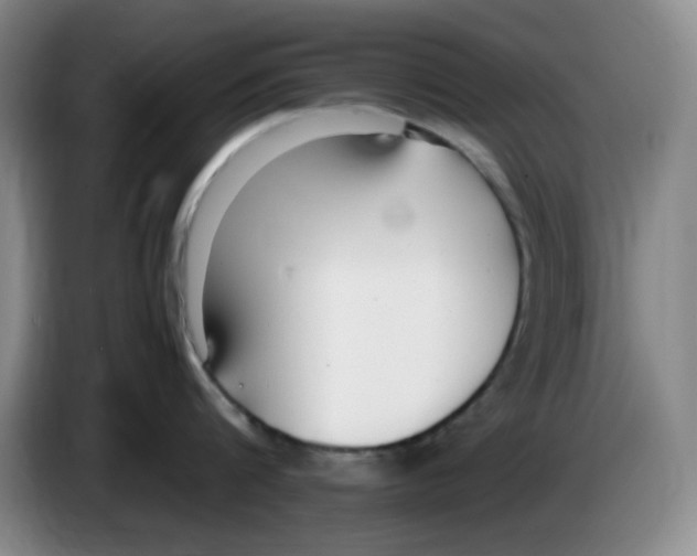 X0000083600816200703091740