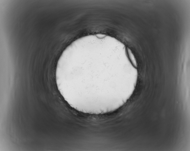 X0000083600817200703091739