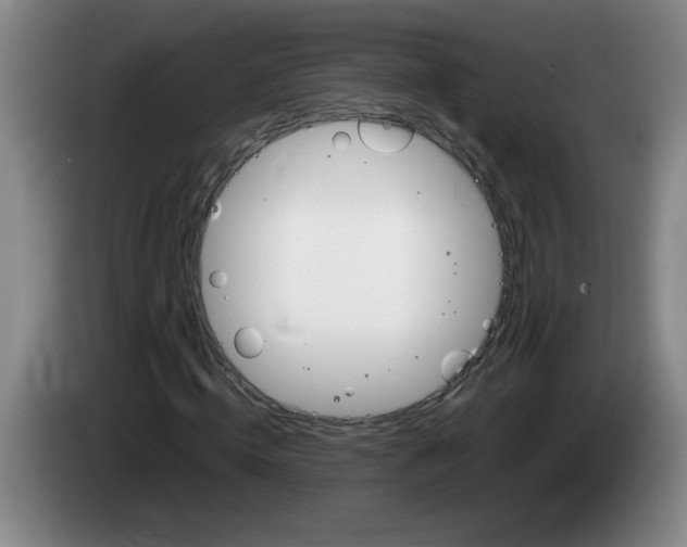 X0000083600820200703091739