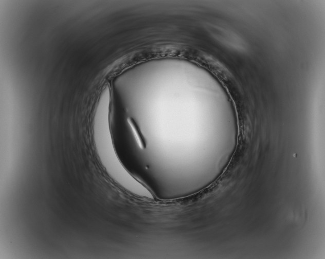 X0000083600821200703091739