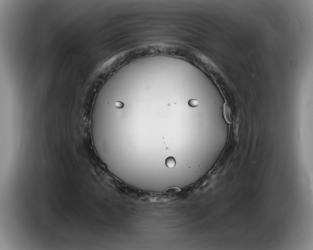 X0000083600822200703091739