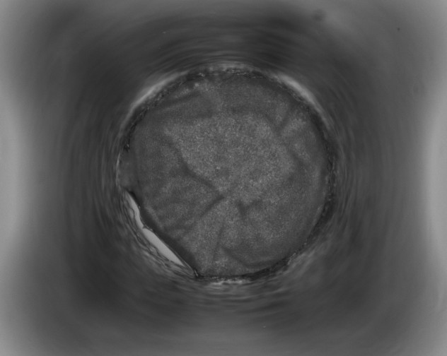 X0000083600823200703091739