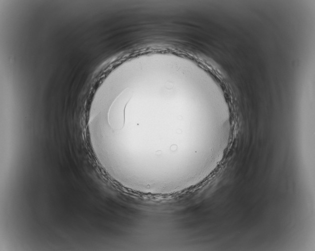 X0000083600824200703091739