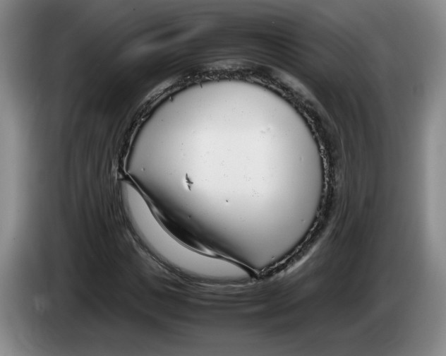 X0000083600825200703091739