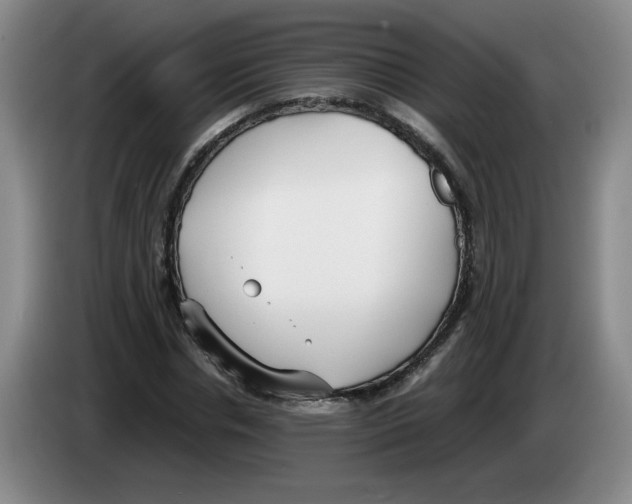 X0000083600826200703091739