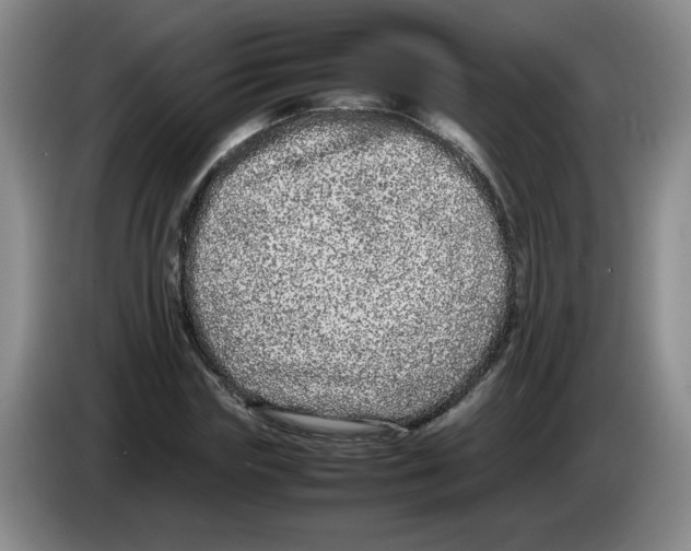 X0000083600827200703091739