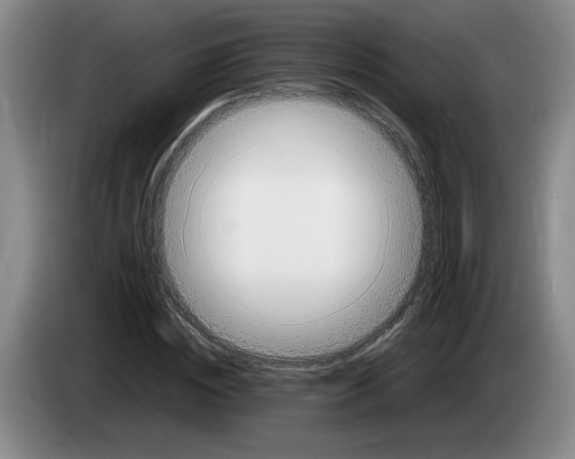 X0000083600828200703091739