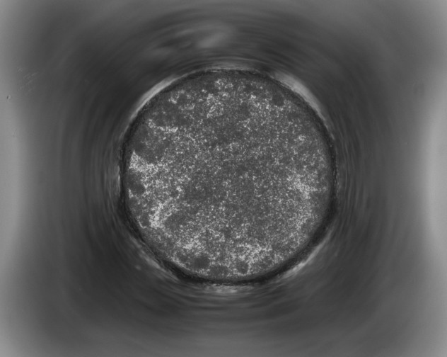 X0000083600829200703091739