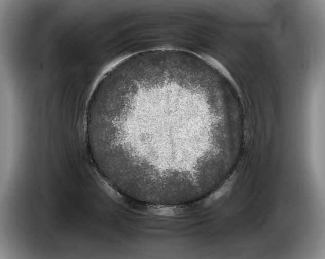 X0000083600831200703091739