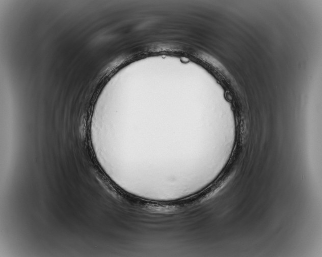 X0000083600833200703091739