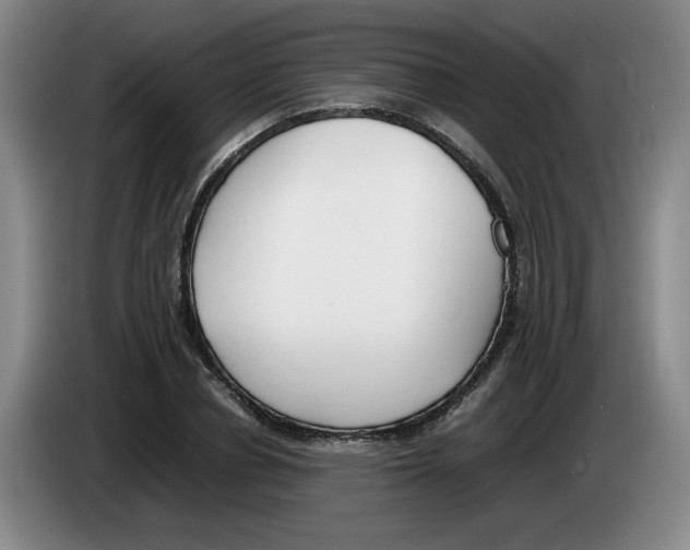 X0000083600834200703091739