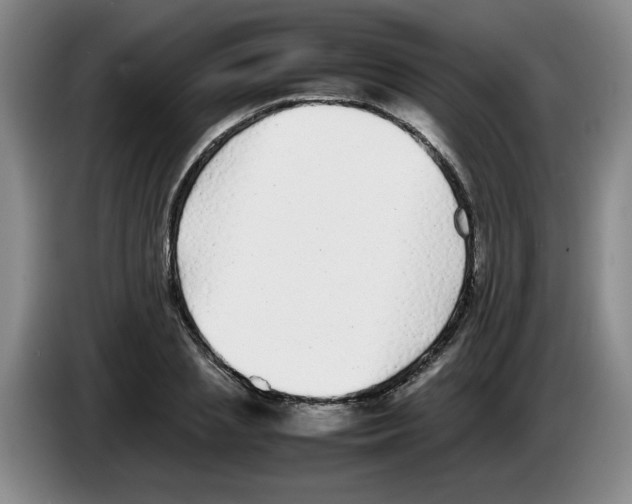 X0000083600837200703091739