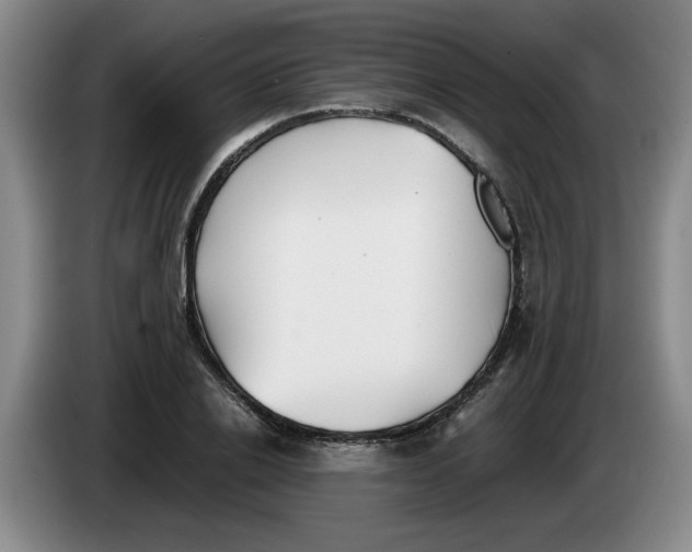 X0000083600838200703091739