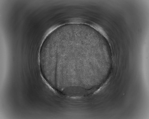 X0000083600839200703091739