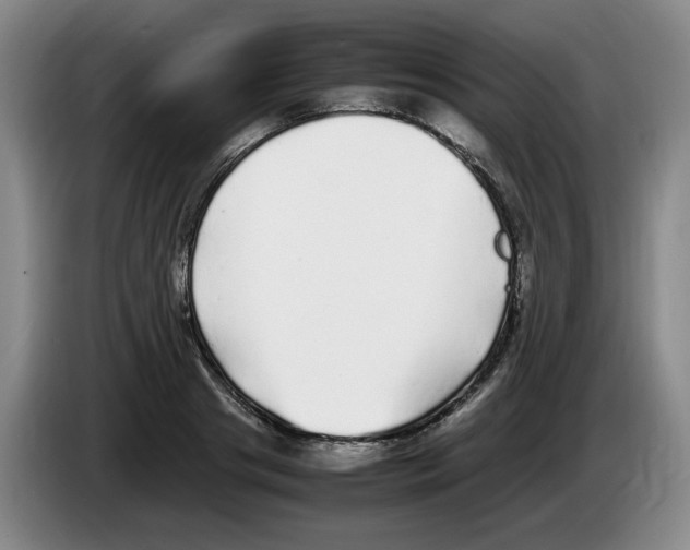 X0000083600841200703091739