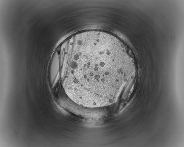 X0000083600842200703091739