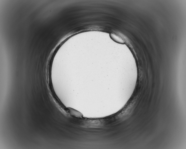 X0000083600843200703091739