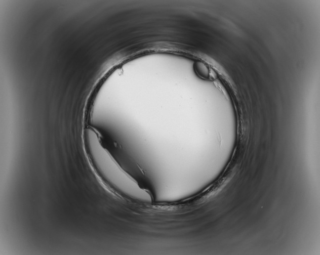 X0000083600845200703091739