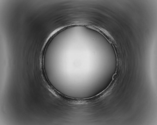 X0000083600846200703091739