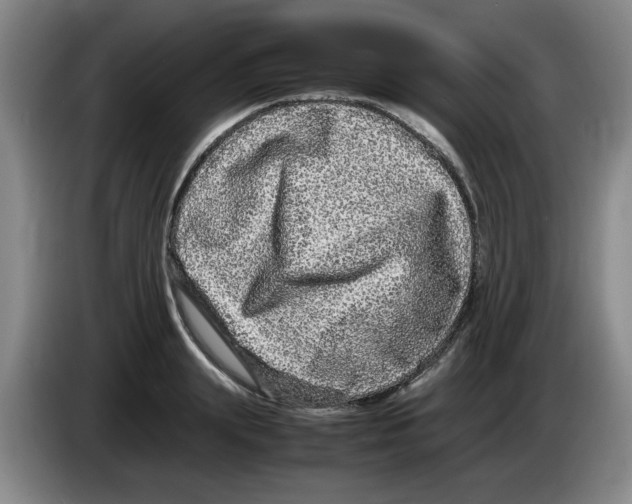 X0000083600847200703091739