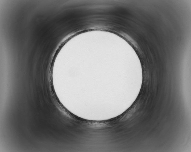 X0000083600848200703091739