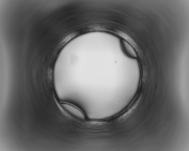 X0000083600849200703091739